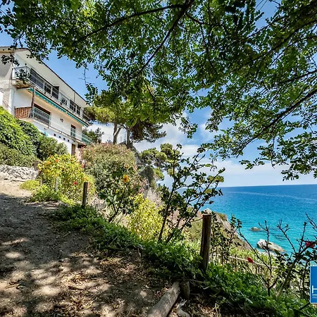 Caminia - Secret Oasis Stalettì